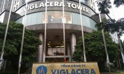 Viglacera lãi lớn nhờ mảng bất động sản và khoản cổ tức từ công ty liên kết